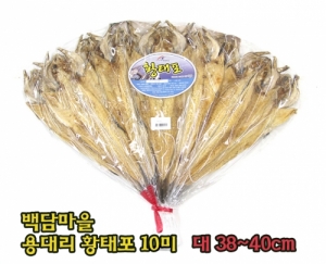 용대리 백담마을,[백담마을] 용대리 황태포10미(대,38~40cm)