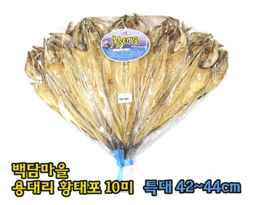 인제몰,[백담마을] 용대리 황태포10미(특대,42~44cm)