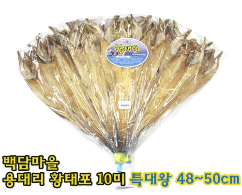 인제몰,[백담마을] 용대리 황태포10미(특대왕,48~50cm)